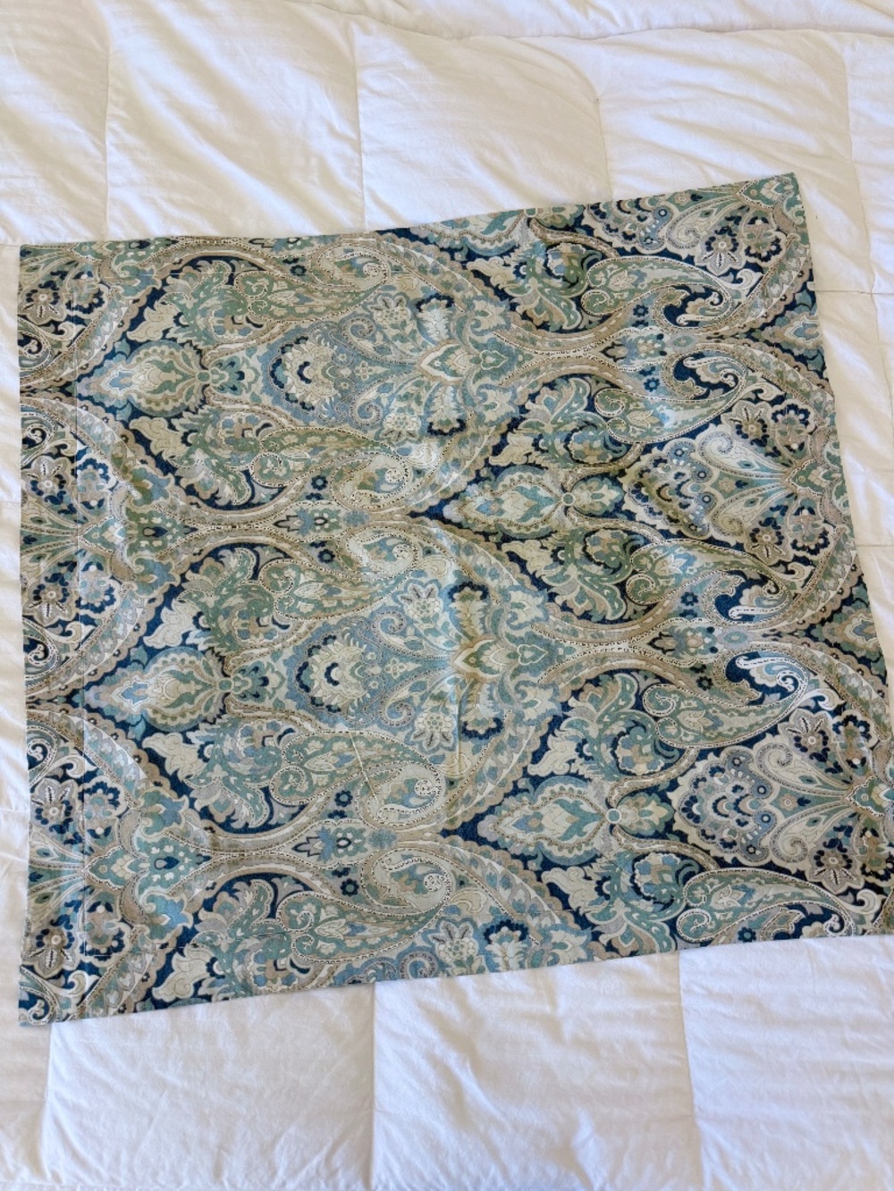 Pottery Barn Mackenna Paisley Euro Sham